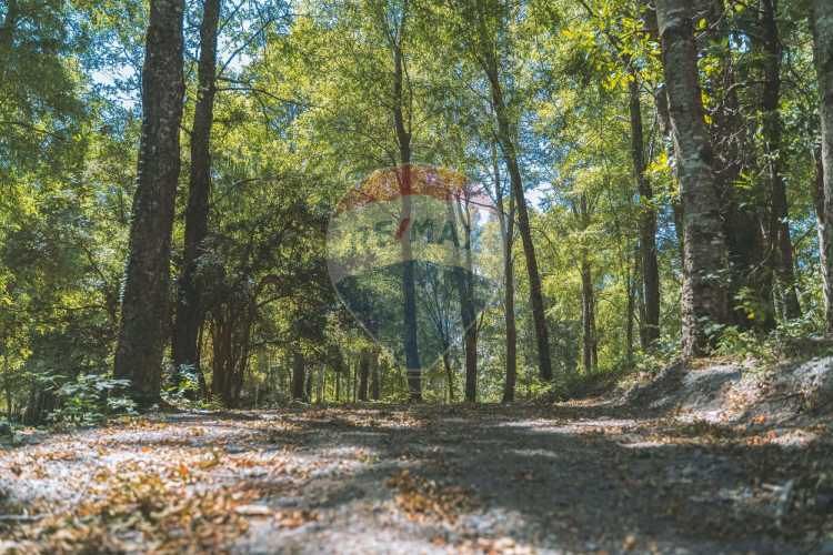 Parcelas en pucón con orilla laguna