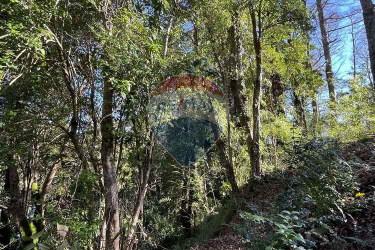 Parcelas en pucón con orilla laguna