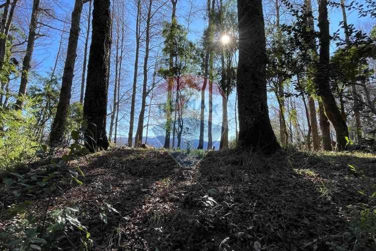 Parcelas en pucón con orilla laguna