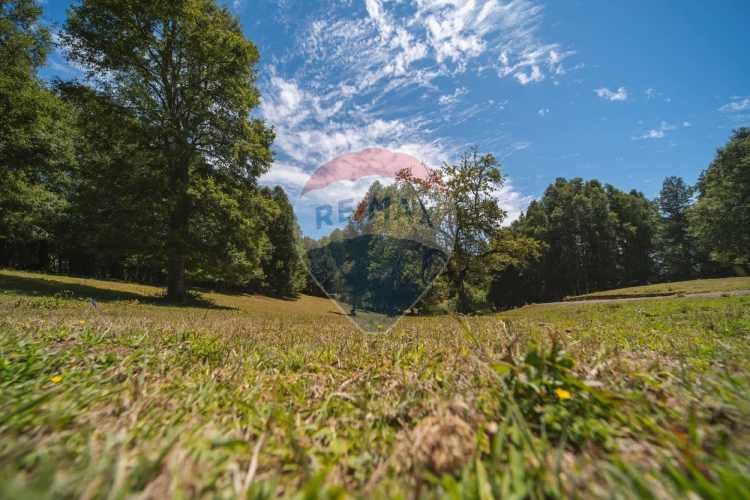 Parcelas en pucón con orilla laguna