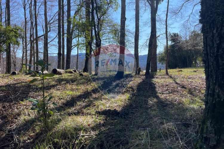 Parcelas en pucón con orilla laguna