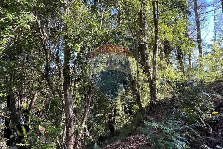 Parcelas en pucón con orilla laguna