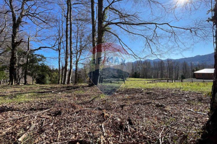 Parcelas en pucón con orilla laguna