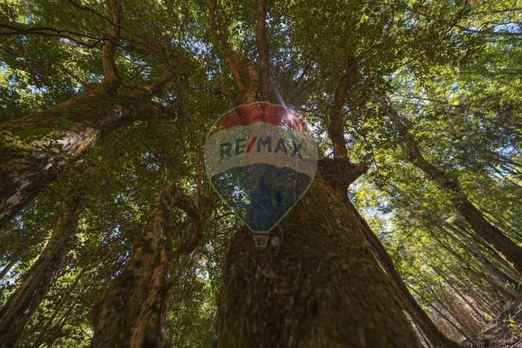 Parcelas en pucón con orilla laguna