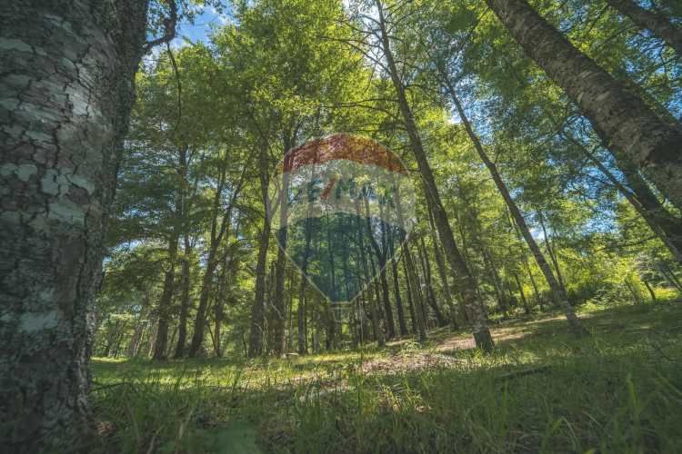 Parcelas en pucón con orilla laguna