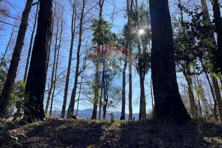 Parcelas en pucón con orilla laguna