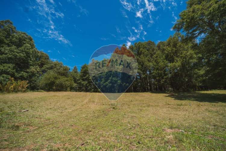 Parcelas en pucón con orilla laguna