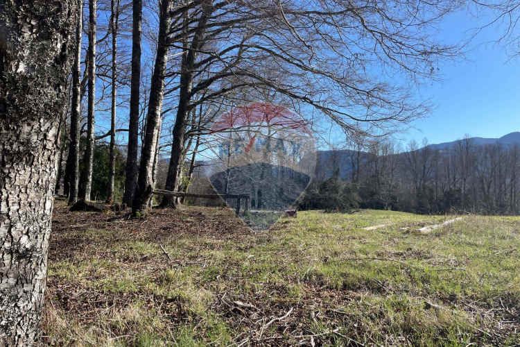 Parcelas en pucón con orilla laguna