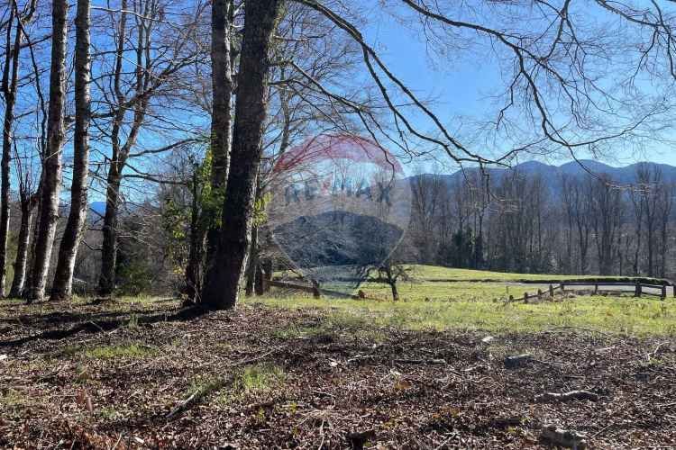 Parcelas en pucón con orilla laguna