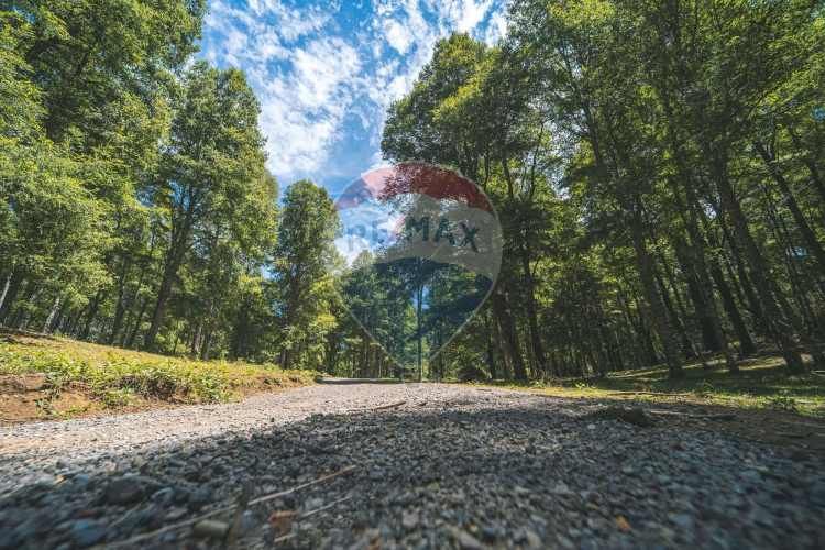 Parcelas en pucón con orilla laguna