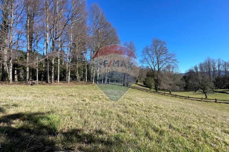 Parcelas en pucón con orilla laguna