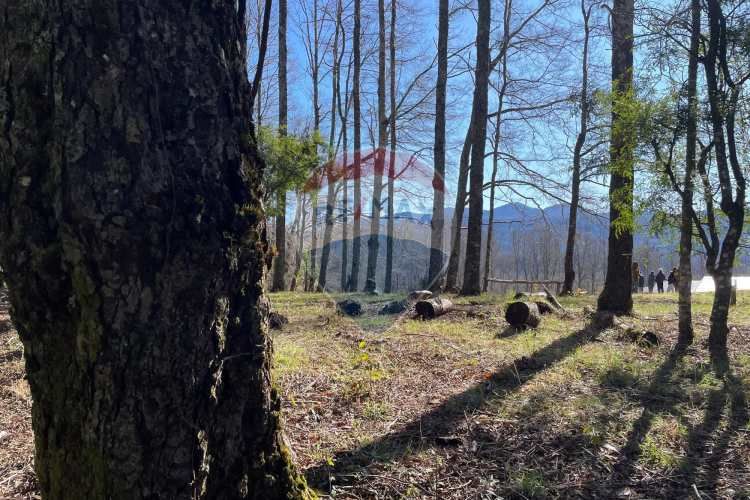 Parcelas en pucón con orilla laguna