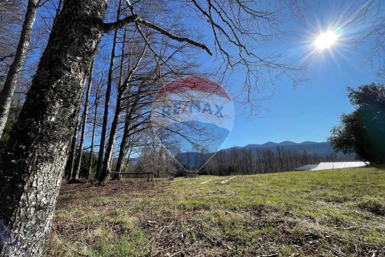 Parcelas en pucón con orilla laguna