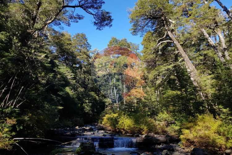 Venta de parcelas en melipeuco