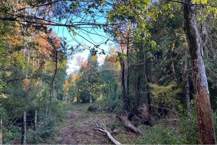 Venta parcelas con vista al volcán y acceso a rio