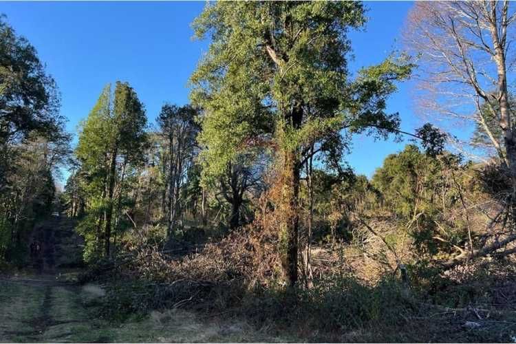 Venta parcelas con vista al volcán y acceso a rio