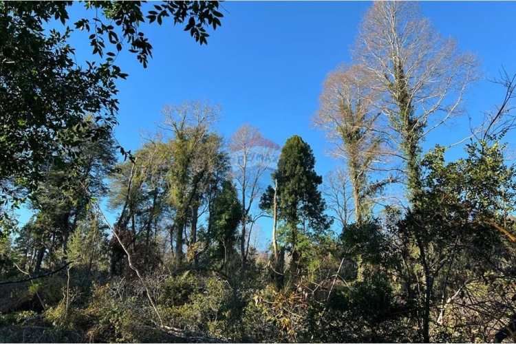 Venta parcelas con vista al volcán y acceso a rio