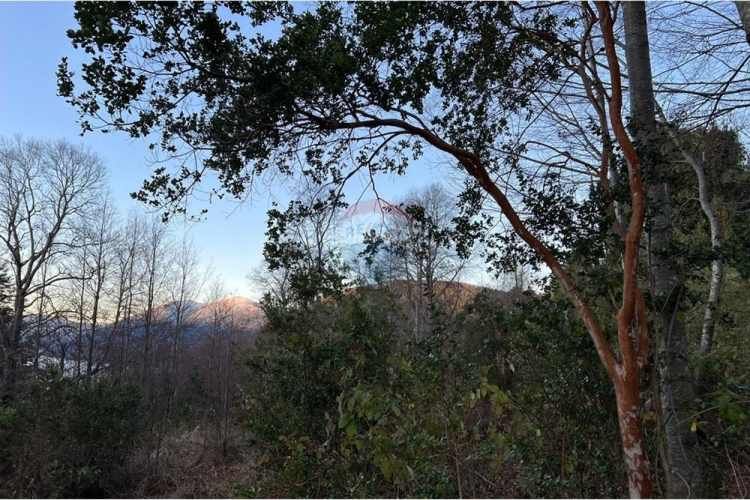 Venta parcelas con vista al volcán y acceso a rio