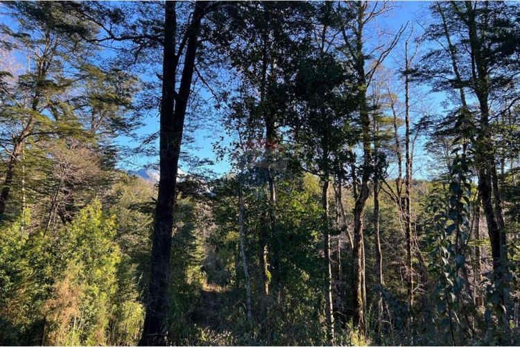 Venta parcelas con vista al volcán y acceso a rio