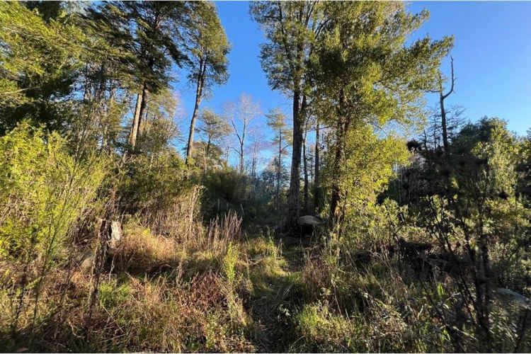 Venta parcelas con vista al volcán y acceso a rio