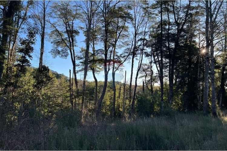 Venta parcelas con vista al volcán y acceso a rio