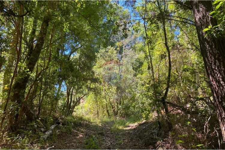 Venta parcelas con vista al volcán y acceso a rio