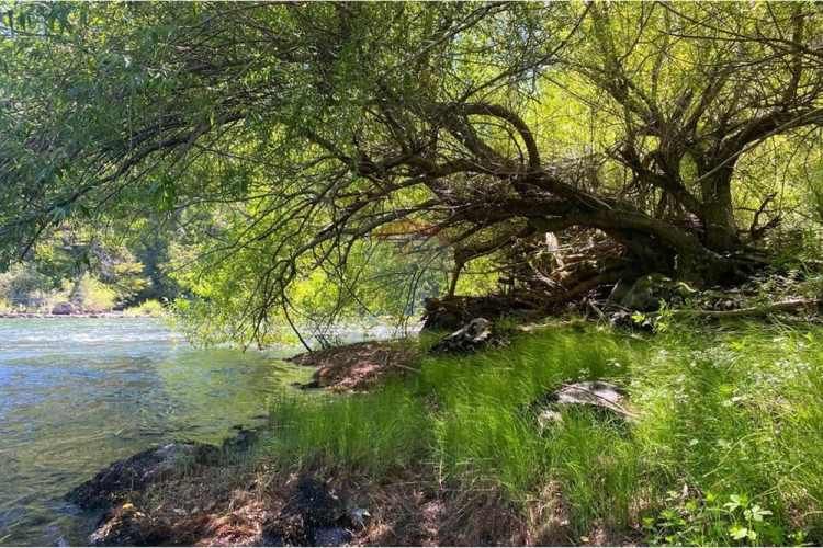 Venta parcelas con vista al volcán y acceso a rio