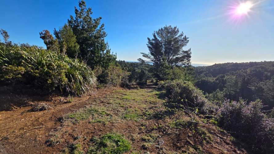 Se Venden 2 Parcelas en sector San Ignacio alto, Niebla