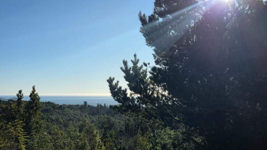 Se Venden 2 Parcelas en sector San Ignacio alto, Niebla