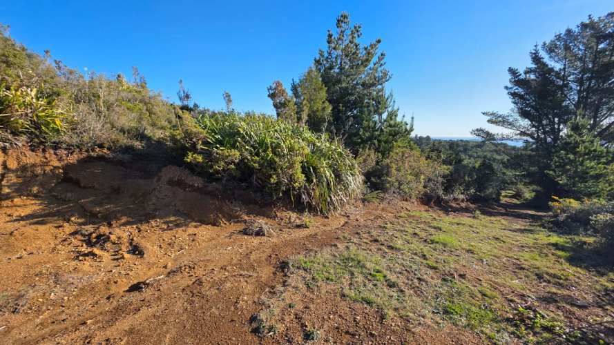 Se Venden 2 Parcelas en sector San Ignacio alto, Niebla