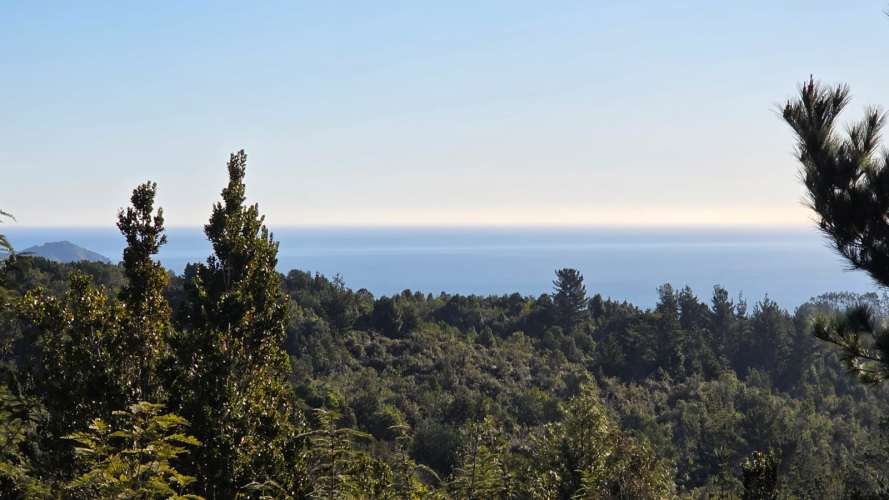 Se Venden 2 Parcelas en sector San Ignacio alto, Niebla