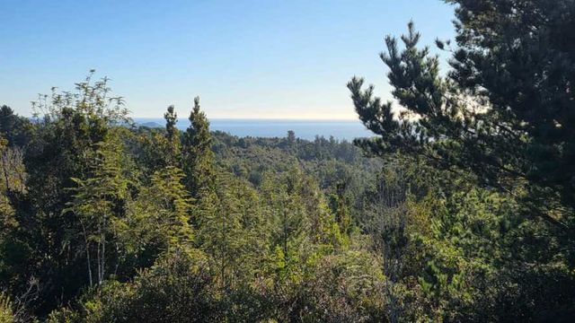 Se Venden 2 Parcelas en sector San Ignacio alto, Niebla