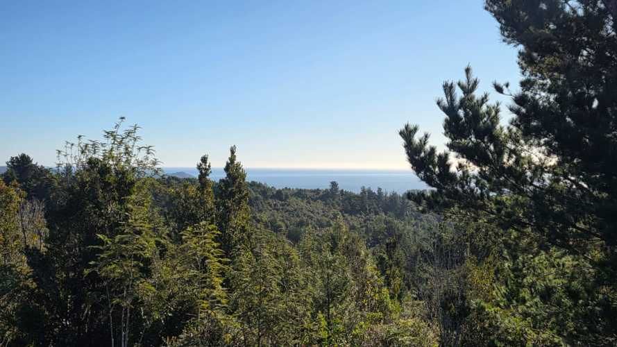 Se Venden 2 Parcelas en sector San Ignacio alto, Niebla