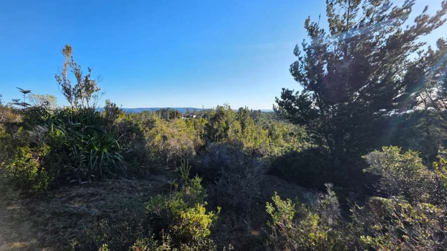 Se Venden 2 Parcelas en sector San Ignacio alto, Niebla