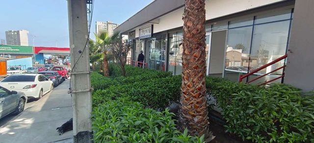 ARRIENDO LOCAL COMERCIAL / SIN COMISION