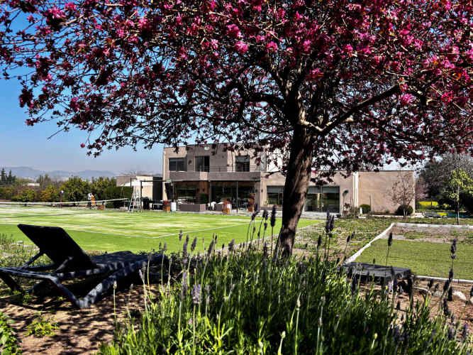 Distribución impecable - Remodelada (118723)