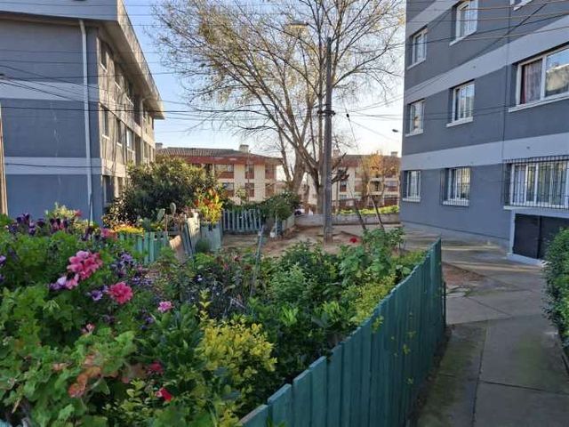 DEPARTAMENTO Miraflores alto lado carabineros