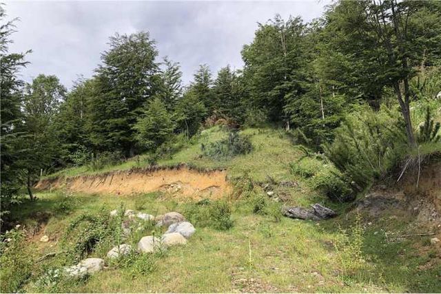 Hermosas parcelas en panqui a 45 min de pucon