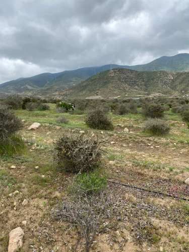 PARCELA Sector el Rosario Estancia Carmin del Elqui