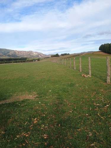PARCELA Hermosa parcela de 5000 m2 en Ensenada, Valle Simpson.