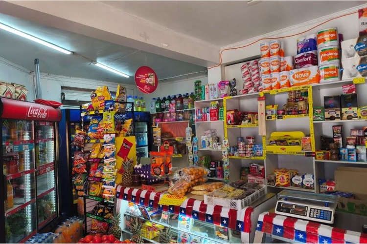 "gran oportunidad de inversión en concepción"