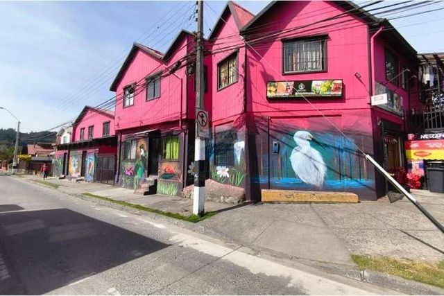 &quot;gran oportunidad de inversión en concepción&quot;