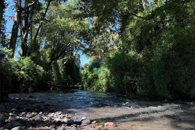 Parcelas con acceso a orilla de rio-villarrica