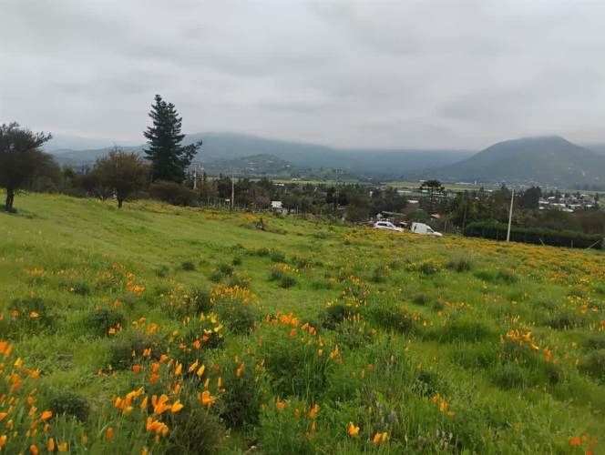 PARCELA Isabel Riquelme