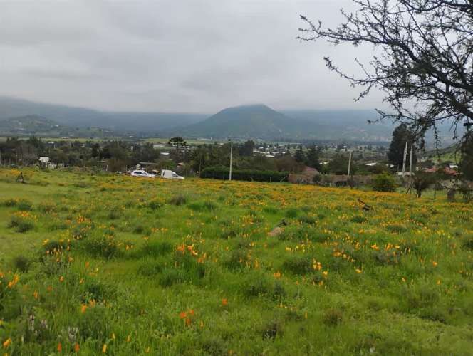 PARCELA Isabel Riquelme