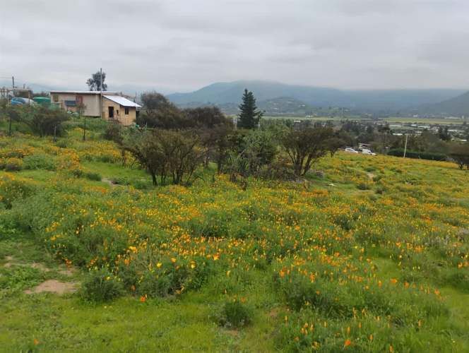 PARCELA Isabel Riquelme