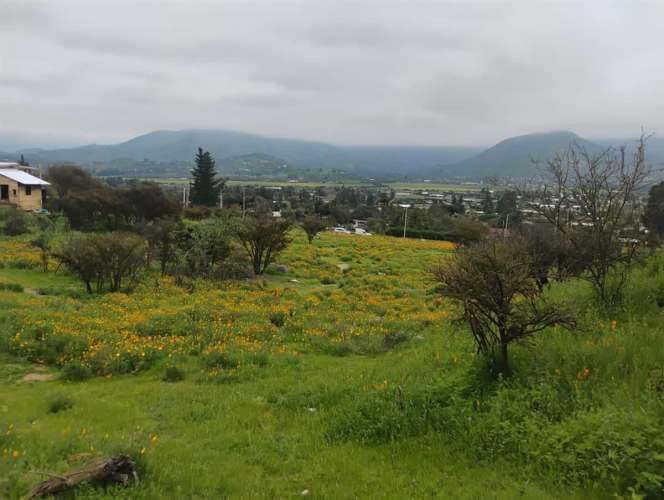 PARCELA Isabel Riquelme