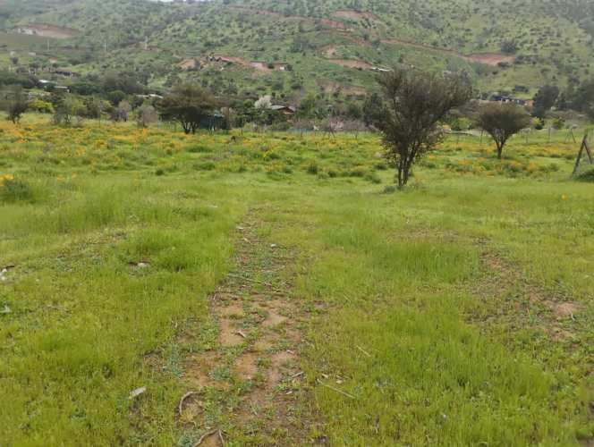 PARCELA Isabel Riquelme