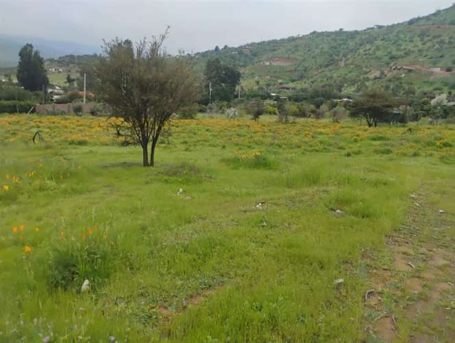 PARCELA Isabel Riquelme