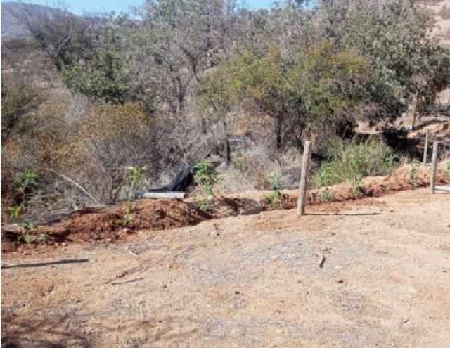 PARCELA Hacienda El Mauco